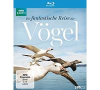 Die fantastische Reise der Vögel – Blu-ray – polyband