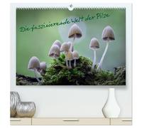 Die faszinierende Welt der Pilze (hochwertiger Premium Wandkalender 2026 DIN A2 quer), Kunstdruck in Hochglanz: Einzigartige Makroaufnahmen von Pilzen