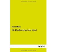 Die Flugbewegung Der Vögel