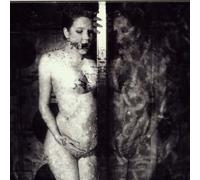 Die Form - Rain of Blood [Import]