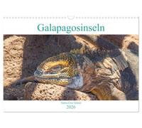 Die Galapagosinseln - Santa Cruz Island (Wandkalender 2026 DIN A3 quer), CALVENDO Monatskalender: Der Kalender nimmt Sie mit auf eine Reise zu den ... Vielfalt an Tieren und Landschaften.