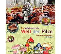Die Geheimnisvolle Welt Der Pilze