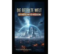 Die geteilte Welt: und der Widerstand der Niederzone