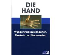 Die Hand - Wunderwerk aus Knochen, Muskeln ...