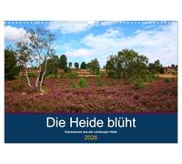 Die Heide blüht (Wandkalender 2026 DIN A3 quer), CALVENDO Monatskalender: Blühende Heidelandschaften, Schäfer mit Heidschnuckenherde und romantische Häuser
