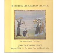 Die Heilung des Blinden in der Musik [Vinyl LP]
