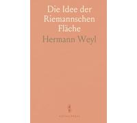 Die Idee der Riemannschen Fläche