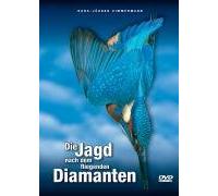 Die Jagd nach dem fliegenden Diamanten - Faszination Eisvogel