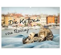 Die Katzen von Rovinj (Wandkalender 2026 DIN A2 quer), CALVENDO Monatskalender: Der ultimative Katzen-Straße von Rovinj in Kroatien!