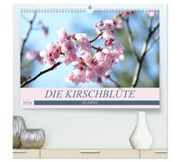 Die Kirschblüte in Japan (hochwertiger Premium Wandkalender 2026 DIN A2 quer), Kunstdruck in Hochglanz: O-Hanami - die Kirschblüte - Symbol der Vergänglichkeit