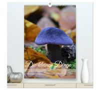 Die kleinen Dinge - märchenhafte Pilzwelten (hochwertiger Premium Wandkalender 2026 DIN A2 hoch), Kunstdruck in Hochglanz: Augenblicke voller ... Schönheit der heimischen Pilzwelt