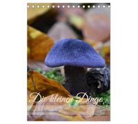 Die kleinen Dinge - märchenhafte Pilzwelten (Tischkalender 2026 DIN A5 hoch), CALVENDO Monatskalender: Augenblicke voller Waldzauber - die geheimnisvolle Schönheit der heimischen Pilzwelt