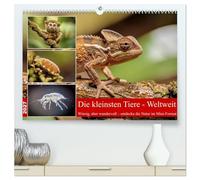 Die kleinsten Tiere - Weltweit (hochwertiger Premium Wandkalender 2027 DIN A2 quer), Kunstdruck in Hochglanz: Die Welt der Tiere steckt voller ... - besonders, wenn man ganz genau hinschaut.