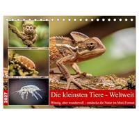 Die kleinsten Tiere - Weltweit (Tischkalender 2027 DIN A5 quer), CALVENDO Monatskalender: Die Welt der Tiere steckt voller Überraschungen - besonders, wenn man ganz genau hinschaut.