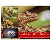 Die kleinsten Tiere - Weltweit (Wandkalender 2027 DIN A2 quer), CALVENDO Monatskalender: Die Welt der Tiere steckt voller Überraschungen - besonders, wenn man ganz genau hinschaut.
