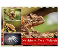 Die kleinsten Tiere - Weltweit (Wandkalender 2027 DIN A3 quer), CALVENDO Monatskalender: Die Welt der Tiere steckt voller Überraschungen - besonders, wenn man ganz genau hinschaut.