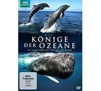 - - Die Könige der Ozeane