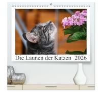 Die Launen der Katzen 2026 (hochwertiger Premium Wandkalender 2026 DIN A2 quer), Kunstdruck in Hochglanz: Die schönsten Momente aus dem Leben der Hauskatzen.
