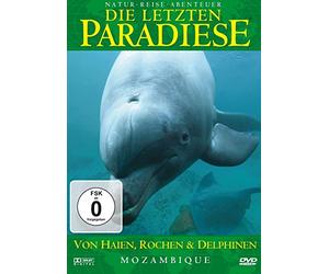 Die Letzten Paradiese - Mozambique-Von Haien,Rochen und Delphinen-Afr