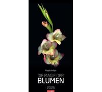 Die Magie der Blumen Kalender 2026: Langer Wandkalender mit farbenprächtigen Blumen-Fotos. Dekorativer XL Kalender mit beeindruckenden Blüten auf schwarzem Hintergrund. 33 x 68 cm