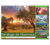 Die Magie der Olivenhaine (Wandkalender 2027 DIN A4 quer), CALVENDO Monatskalender: Silbergrüne Olivenhaine, warmes Licht und die Ruhe des Südens begleiten dich durch das Jahr.