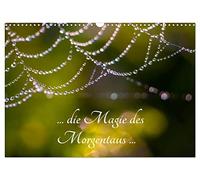 ... die Magie des Morgentaus ... (Wandkalender 2026 DIN A3 quer), CALVENDO Monatskalender: Makrofotografie von Tau am Morgen in seinen unterschiedlichen Erscheinungen