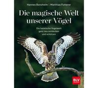 Die Magische Welt Unserer Vögel