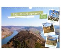 Die Mosel erwacht aus Ihrem Winterschlaf (Wandkalender 2026 DIN A4 quer), CALVENDO Monatskalender: Frühling an der wunderschönen Mosel.