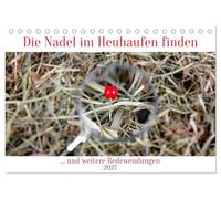 Die Nadel im Heuhaufen finden (Tischkalender 2027 DIN A5 quer), CALVENDO Monatskalender: Wer erkennt die Redewendungen anhand der Bilder?
