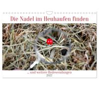 Die Nadel im Heuhaufen finden (Wandkalender 2027 DIN A4 quer), CALVENDO Monatskalender: Wer erkennt die Redewendungen anhand der Bilder?
