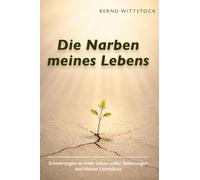 Die Narben meines Lebens: Erinnerungen an mein Leben voller Belastungen und kleiner Lichtblicke
