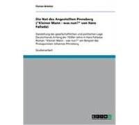 Die Not des Angestellten Pinneberg ("Kleiner Mann - was nun?" von Hans Fallada) Brücher, Florian (Auteur)