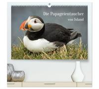 Die Papageientaucher von Island (hochwertiger Premium Wandkalender 2026 DIN A2 quer), Kunstdruck in Hochglanz: Lassen Sie sich von den Puffins an Latrabjargs Klippen durch das Jahr begleiten.