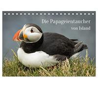 Die Papageientaucher von Island (Tischkalender 2026 DIN A5 quer), CALVENDO Monatskalender: Lassen Sie sich von den Puffins an Latrabjargs Klippen durch das Jahr begleiten.
