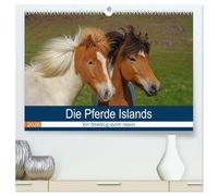 Die Pferde Islands - Ein Streifzug durch Island (hochwertiger Premium Wandkalender 2026 DIN A2 quer), Kunstdruck in Hochglanz: Die wunderbaren ... von ihrer schönsten Seite präsentiert