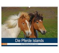 Die Pferde Islands - Ein Streifzug durch Island (Wandkalender 2026 DIN A2 quer), CALVENDO Monatskalender: Die wunderbaren Islandpferde werden in ... von ihrer schönsten Seite präsentiert