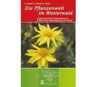 Die Pflanzenwelt Im Westerwald