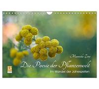 Die Poesie der Pflanzenwelt - Im Wandel der Jahreszeiten (Wandkalender 2026 DIN A4 quer), CALVENDO Monatskalender: Zauberhafte Nahaufnahmen von Naturdetails