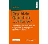 Die Politische Ökonomie Der "Überflüssigen