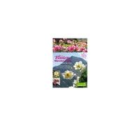 Die Schönsten Blüten-Wanderungen In Oberbayern & Tirol 02