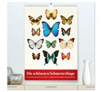 Die schönsten Schmetterlinge (hochwertiger Premium Wandkalender 2026 DIN A2 hoch), Kunstdruck in Hochglanz: Kleine Wunderwerke der Natur in zwölf faszinierenden Nahaufnahmen