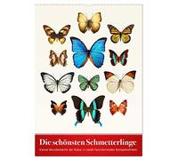 Die schönsten Schmetterlinge (Wandkalender 2026 DIN A2 hoch), CALVENDO Monatskalender: Kleine Wunderwerke der Natur in zwölf faszinierenden Nahaufnahmen