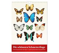 Die schönsten Schmetterlinge (Wandkalender 2026 DIN A4 hoch), CALVENDO Monatskalender: Kleine Wunderwerke der Natur in zwölf faszinierenden Nahaufnahmen