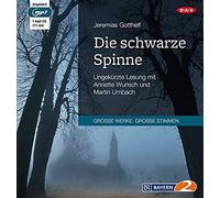 Die Schwarze Spinne