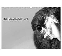 Die Seelen der wilden Tiere (Wandkalender 2026 DIN A3 quer), CALVENDO Monatskalender: Wildtiere ganz nah - in einfühlsamen schwarz-weiß Portraits