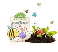 Die Stadtgärtner Bille de Fleurs "Délices d'Abeilles de Timo" - 1 pcs