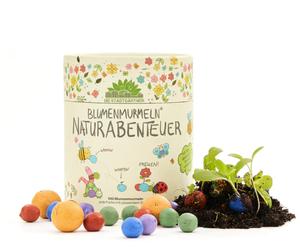 Die Stadtgärtner Billes de Fleurs "Aventure dans la nature" - 1 pcs