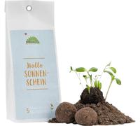 Die Stadtgärtner Bombes de Semences "Hello Sunshine" - 1 kit