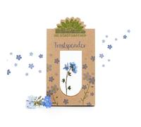 Die Stadtgärtner « Consolateur I Myosotis en verre comme cadeau de réconfort dans les moments difficiles I Cadeau d'adieu pour amis, enseignante et cadeau d'encouragement I Fait main en Allemagne »