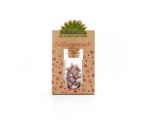 Die Stadtgärtner Fiole "C'est toi que je préfère" - 1 pcs